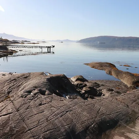 Alpehytte Cozy By The Sea Narvik